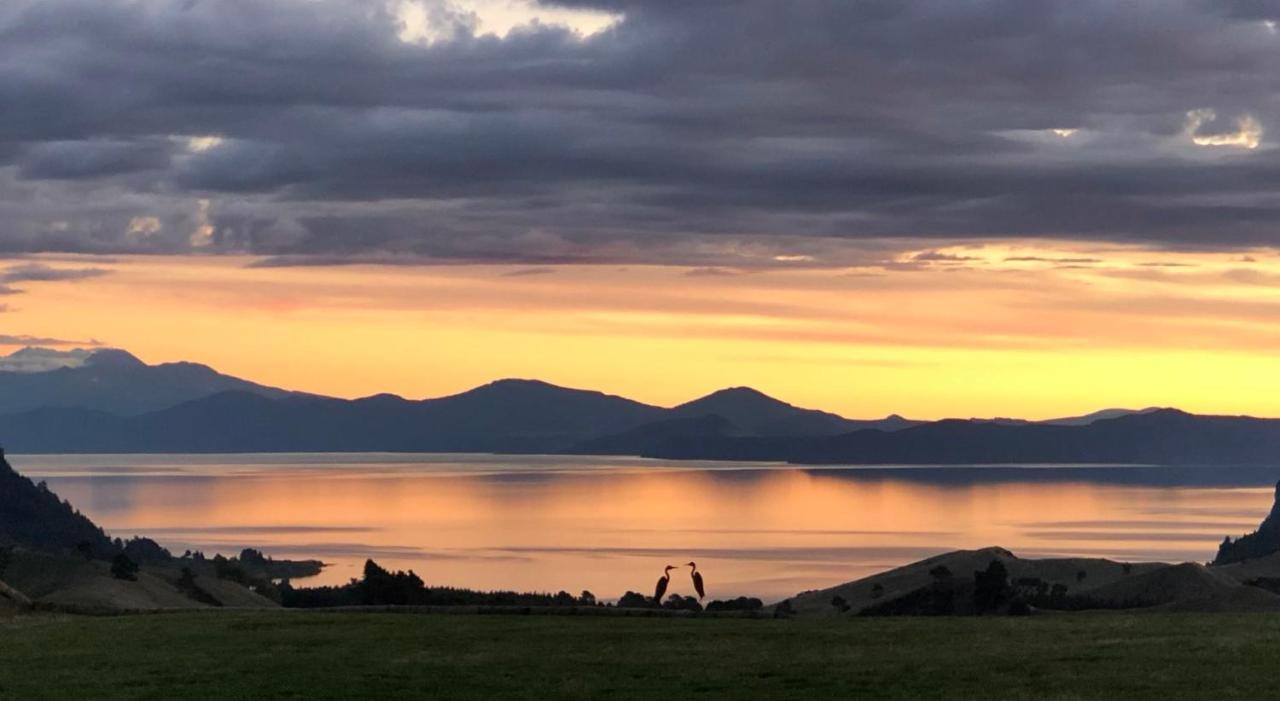 Hilltop Whakaipo Estate Lac Lac Taupo Extérieur photo