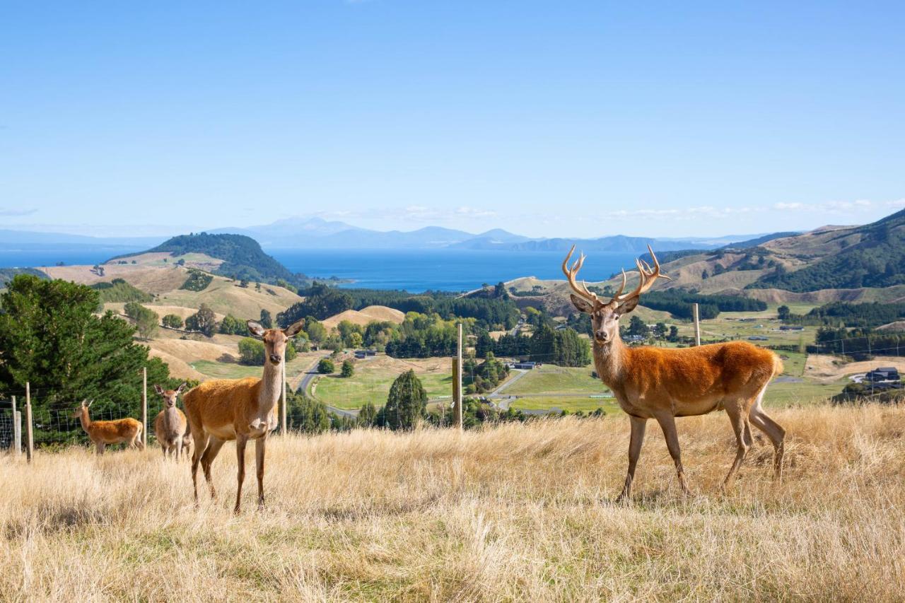 Hilltop Whakaipo Estate Lac Lac Taupo Extérieur photo