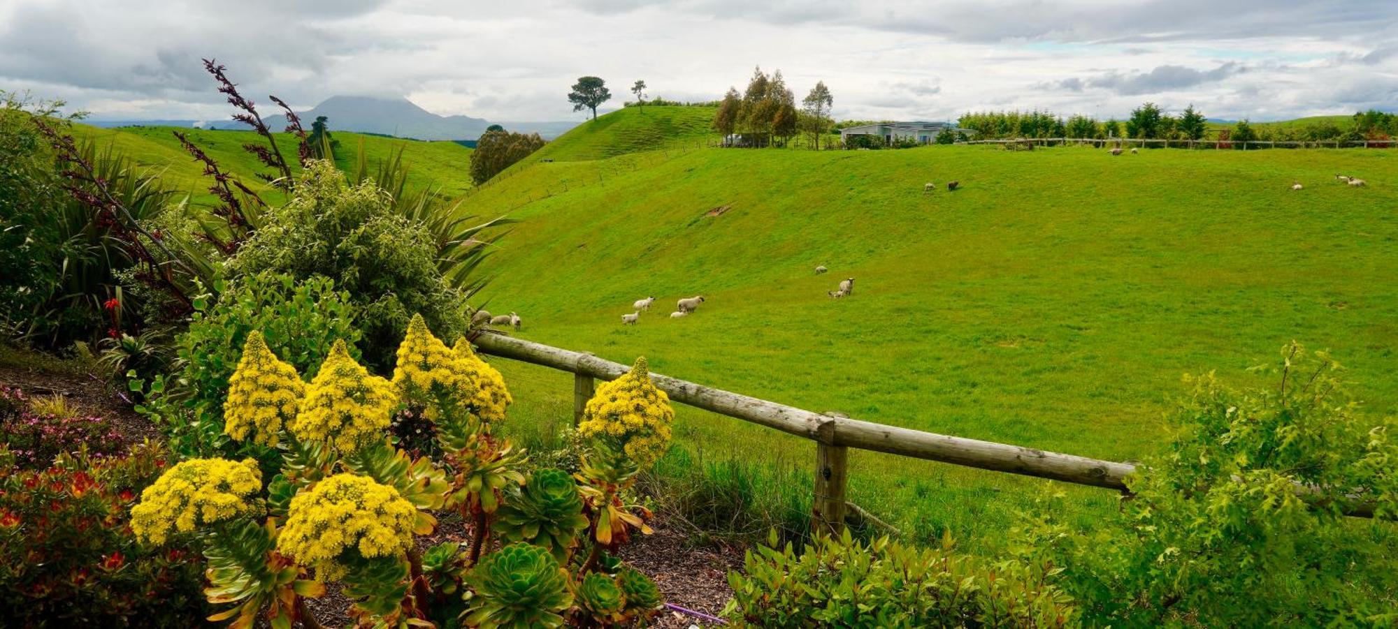 Hilltop Whakaipo Estate Lac Lac Taupo Extérieur photo
