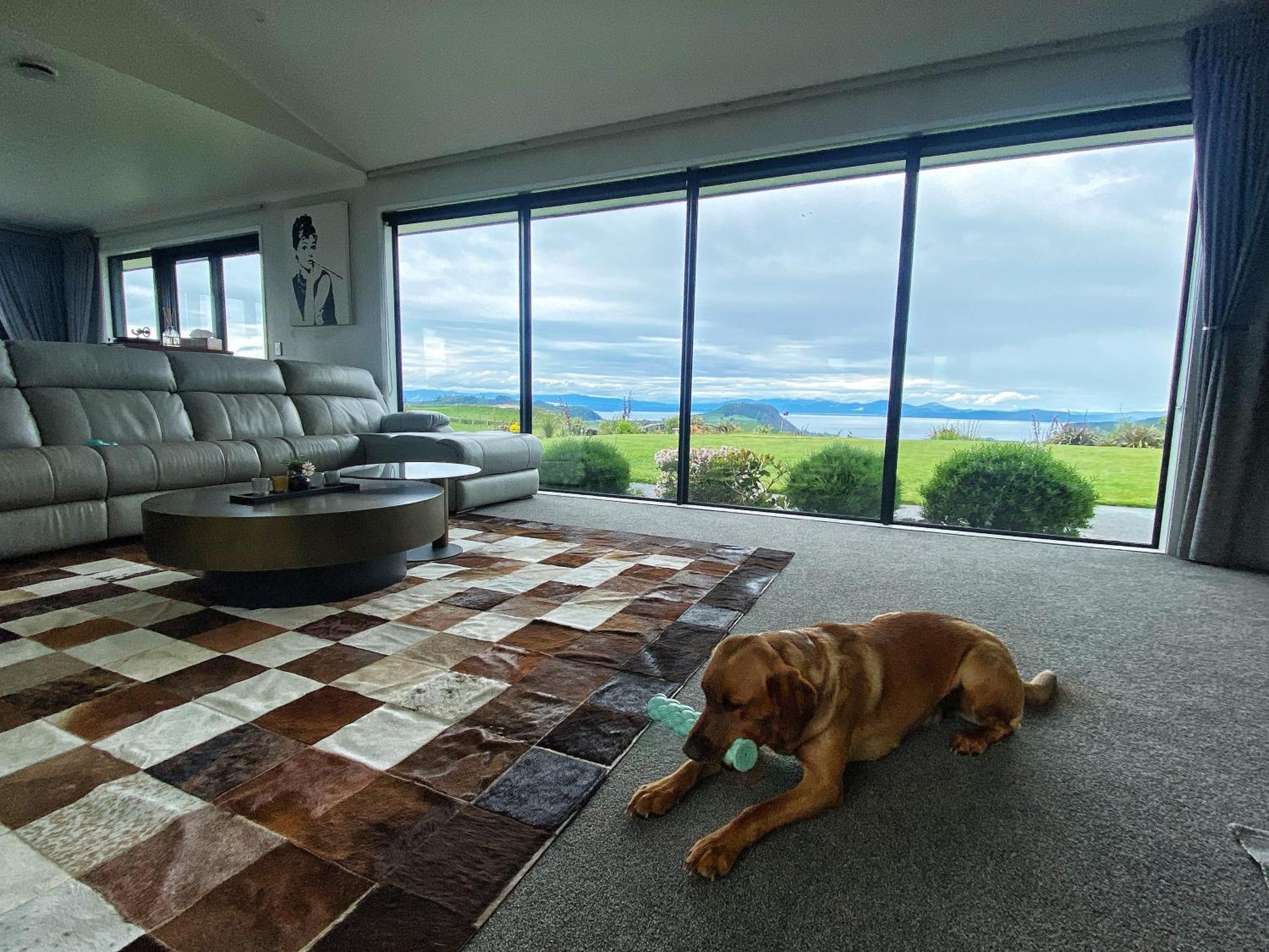 Hilltop Whakaipo Estate Lac Lac Taupo Extérieur photo