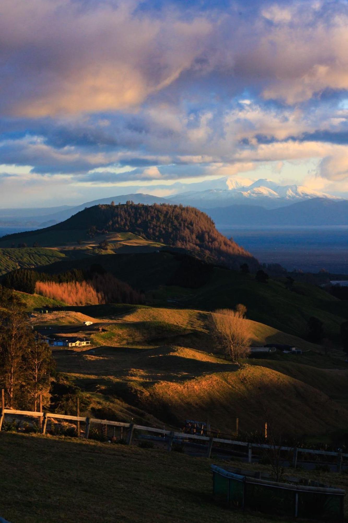 Hilltop Whakaipo Estate Lac Lac Taupo Extérieur photo