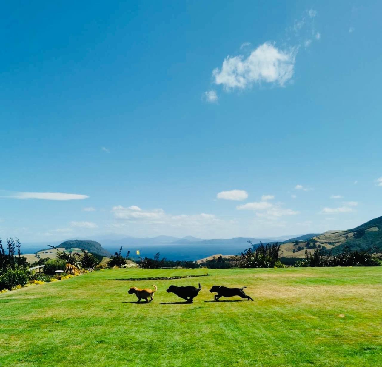 Hilltop Whakaipo Estate Lac Lac Taupo Extérieur photo