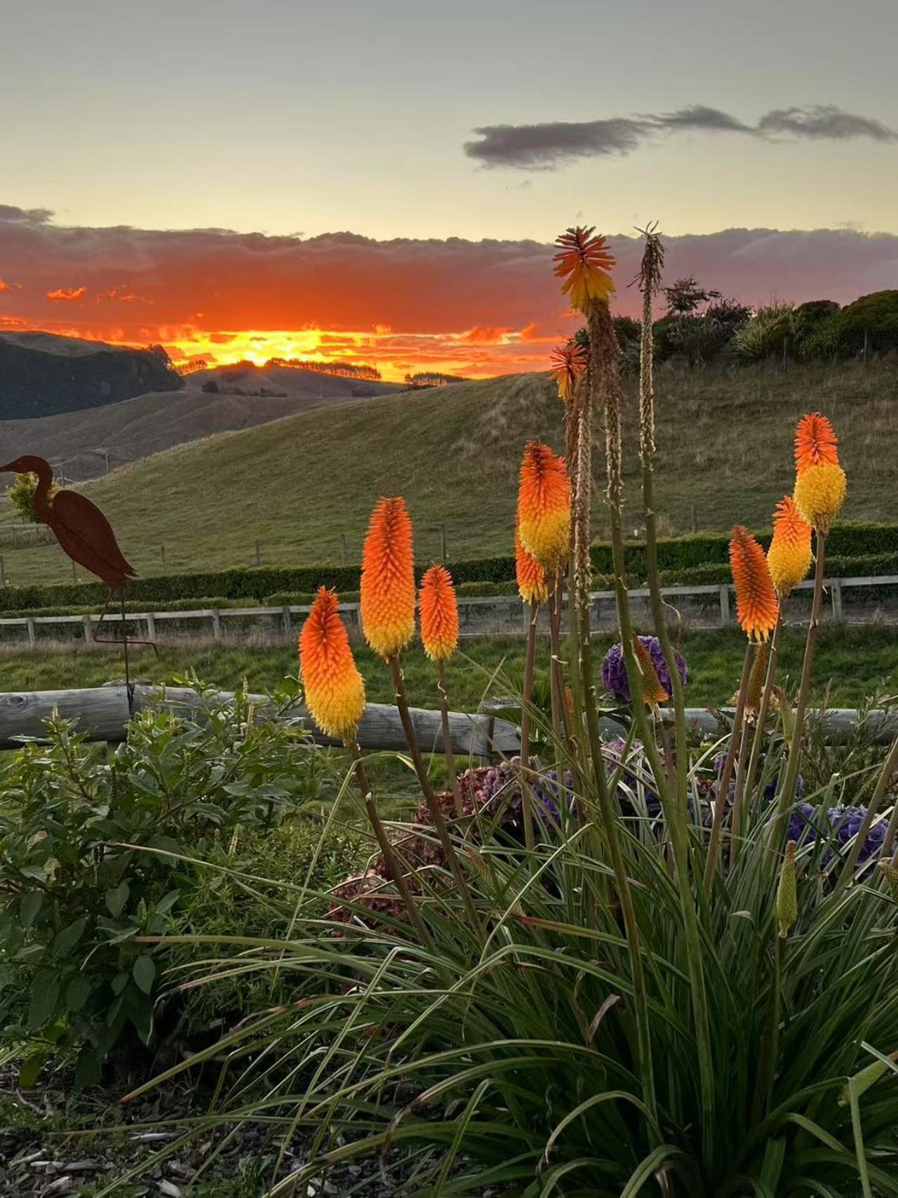 Hilltop Whakaipo Estate Lac Lac Taupo Extérieur photo